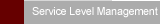 Service Level Management