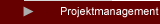 Projektmanagement
